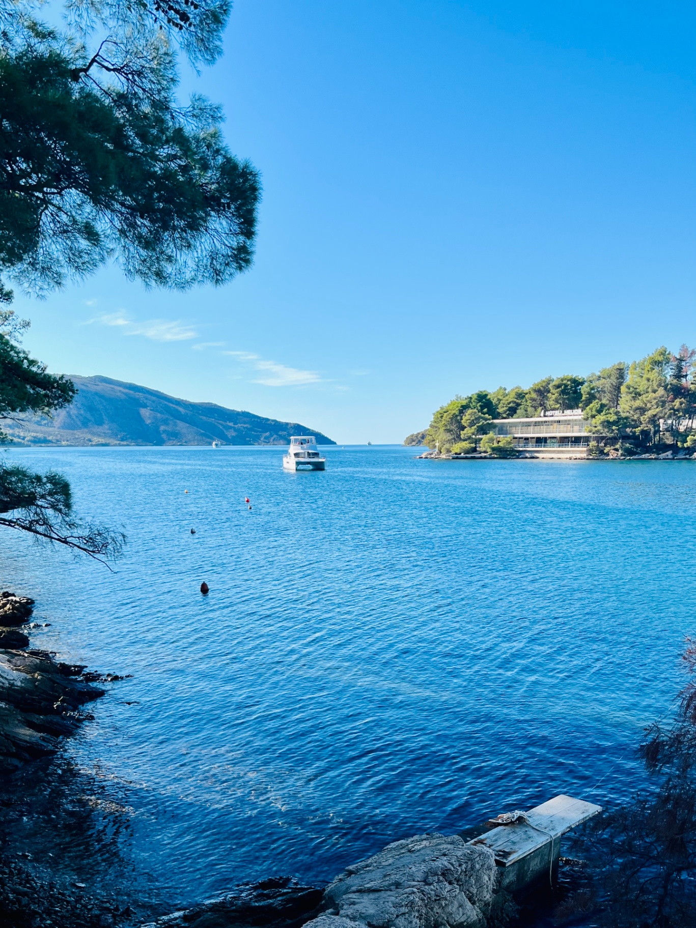 Calm turquoise Adriatic bay framed by pine trees on Hvar